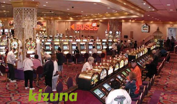 kizuna Live Game Shows at kizuna